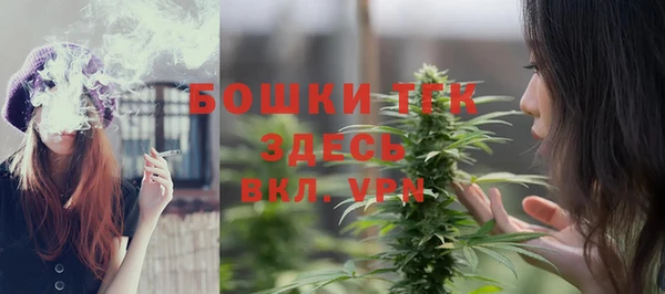 твердый Кулебаки