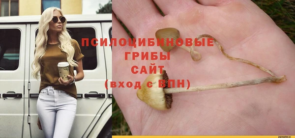 твердый Кулебаки