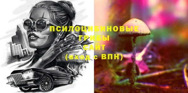прущие крисы Приозерск